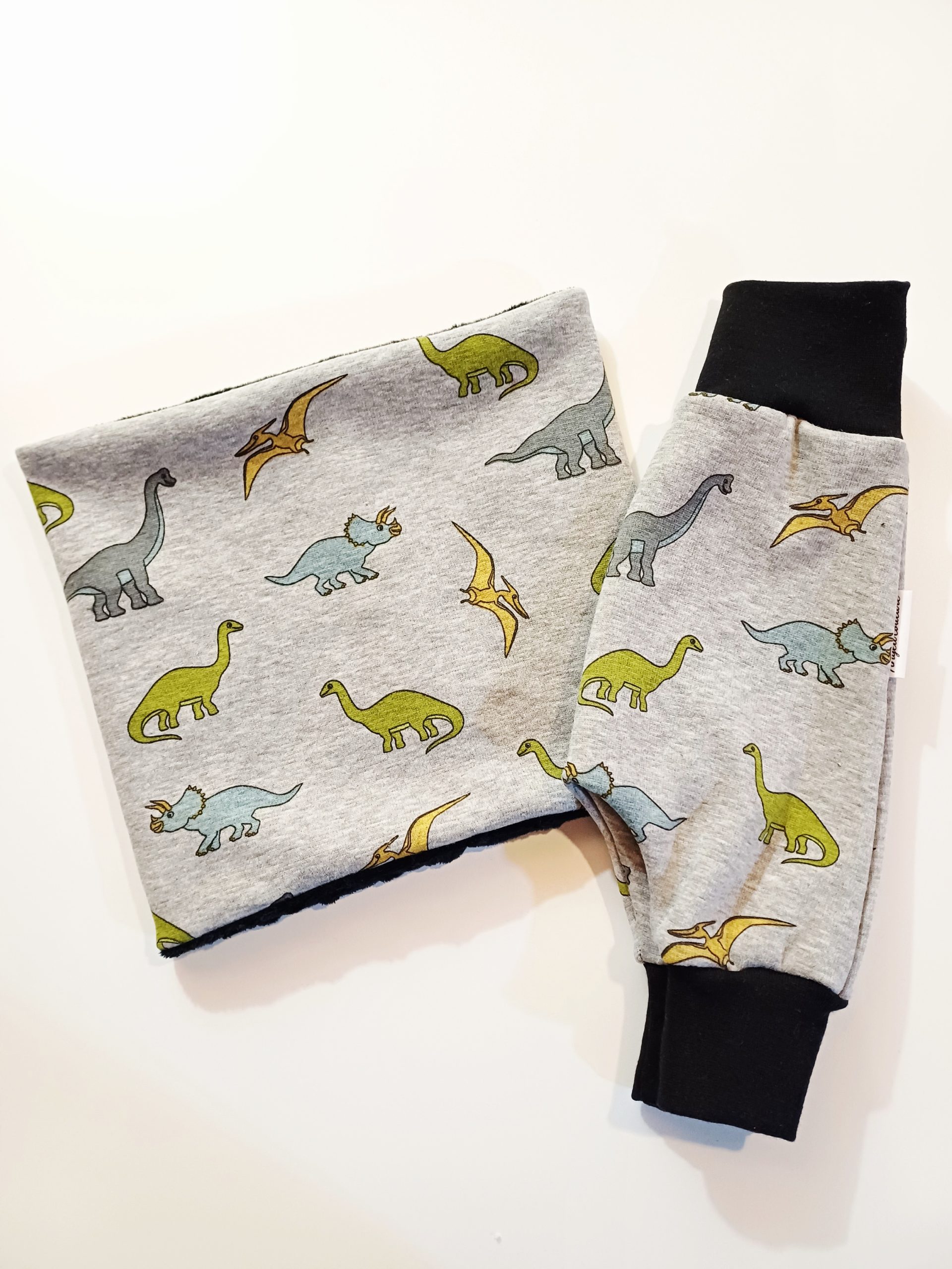 Dinosaures – Image 2